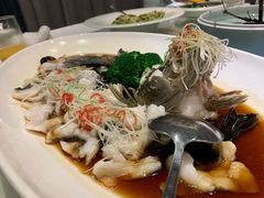 -太极禅苑
