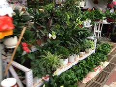 -秦美花卉(天朗·莱茵小城2期店)