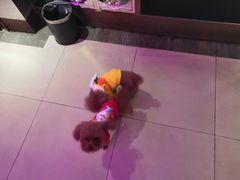 -星光大道KTV(金沙洲店)