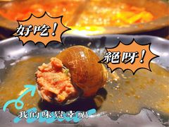 -九鼎轩脆毛肚火锅(南京东路店)