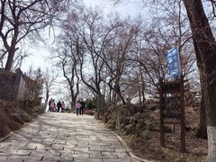 -高尔山公园