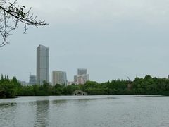 -成都南湖公园