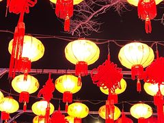 -青龙湖公园