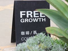 -自由生长植物工作室(深港花卉中心店)