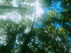 -南京金牛湖风景区