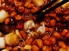 宫保鸡丁烤鱼（清江鱼/斤）-锦尚阁烤鱼(望京新荟城店)