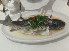 -聚彩居三和酒楼•老字号粤菜(南城店)