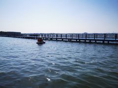 -鹅湖玫瑰文化园