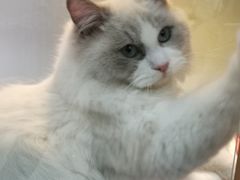 -乐宠宠物店(世纪金源店)