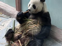 -青藏高原野生动物园