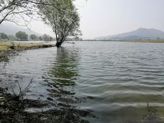 -十三陵水库