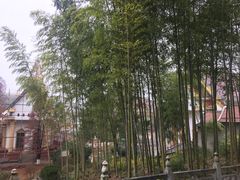 -报恩禅寺