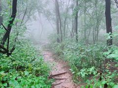 -妙峰山风景名胜区