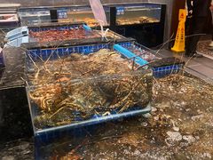 -东海怡品海鲜豆捞(星街坊店)