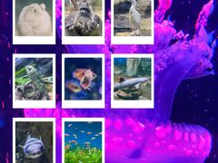 -梦幻海洋王国(吾悦广场张家港店)