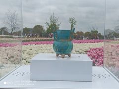 -荷兰花海