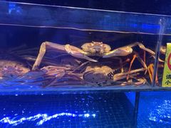 -驻海渔市(置信店)