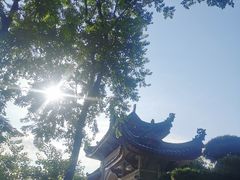 -南普陀寺