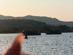 -西湖游船
