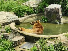 -无锡动物园·太湖欢乐园