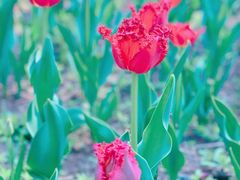 -长春公园(普阳街道)