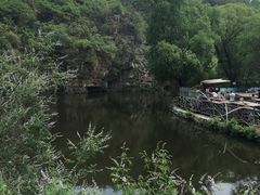 -双新垂钓园
