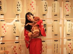 满杯西柚-柴迷FANS CLUB·柴犬狗咖·猫咖