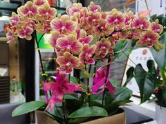 -北京益泉花园酒店