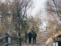 -北京周口店北京人遗址博物馆