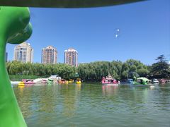 -团结湖公园