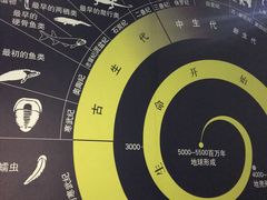 -中国西峡恐龙遗迹园