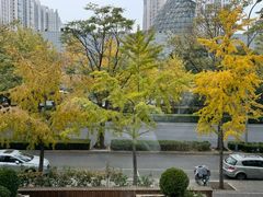 -合众齿科高难度矫正·种植·儿牙中心(望京总院)