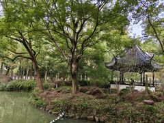 -上海醉白池公园