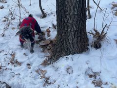 -帽儿山国家森林公园