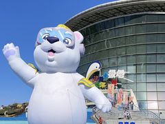 -海合安天津极地海洋公园