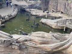 -燕塞湖鸟语林景区