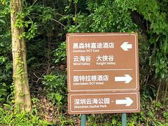 -东部华侨城