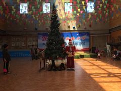 -北京鹿世界主题园