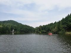 -四明山国家森林公园
