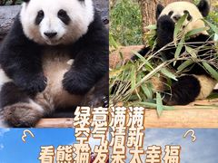 -大龙燚火锅(太古里店)