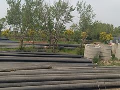 -长春北湖公园