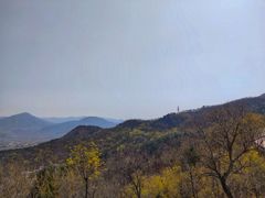 -北京鹫峰国家森林公园