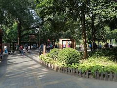 -莲花池公园