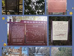 -阳台山自然风景区