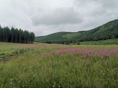 -塞罕坝国家级自然保护区
