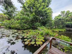-海南热带野生动植物园