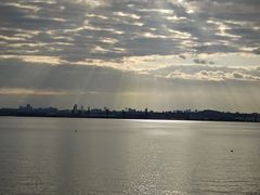 -周正水煮活鱼·吊水鱼(万科店)