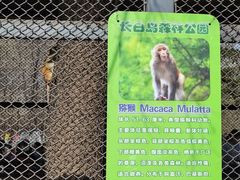 -长白岛森林公园