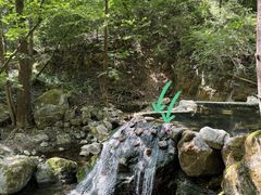 -牛背梁国家森林公园