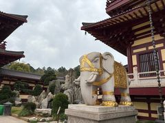 -庐山风景名胜区-东林大佛